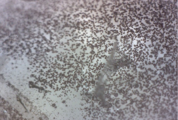 ˮ�������F�V...