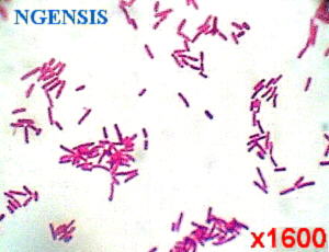 ���c��ϣ�ϗU��