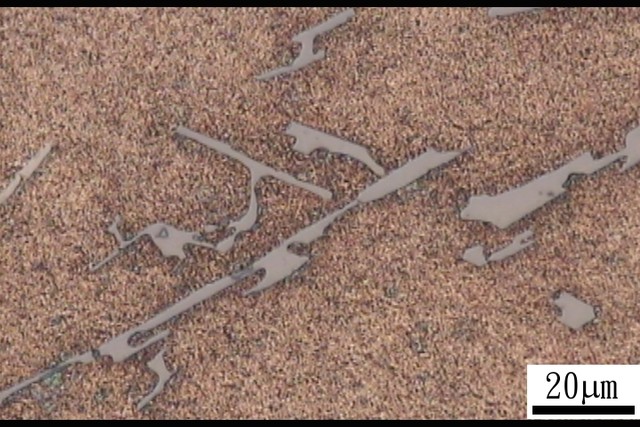 �X�Ͻ�����DƬ