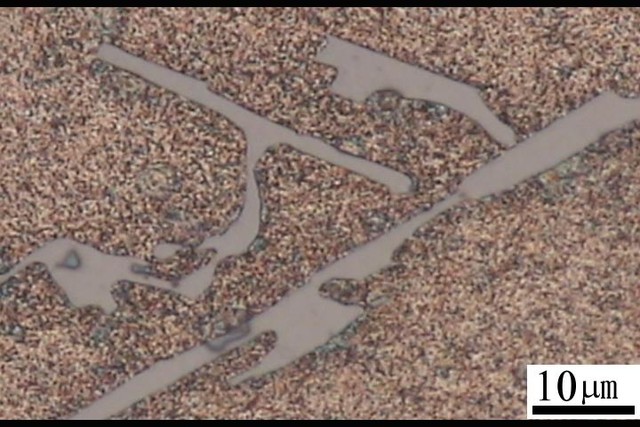 �X�Ͻ������Ƭ