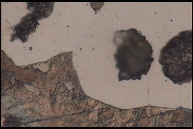 ��ī�T�F�����DƬ