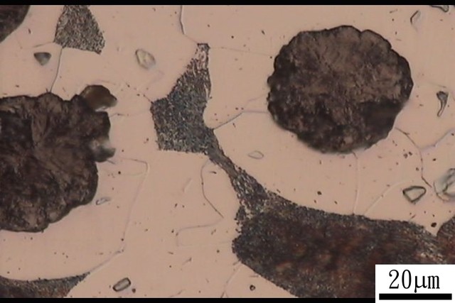 ��ī�T�F�����DƬ2