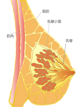 ���ٰ����ڰY��