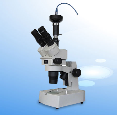 �wҕ�@΢�R��r