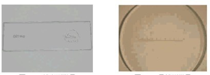 顯微鏡測(cè)微尺