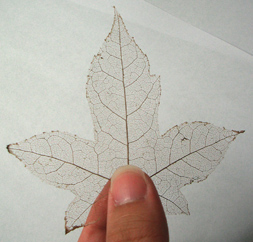 �~�}��(bi��o)��