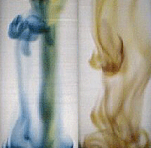 淀粉顯微鏡染色