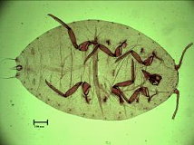 ��(sh��)λ���C(j��) �������c���ļܵ��Ĕz��(bi��o)���������a���Ȓ��x�`�Y�� 