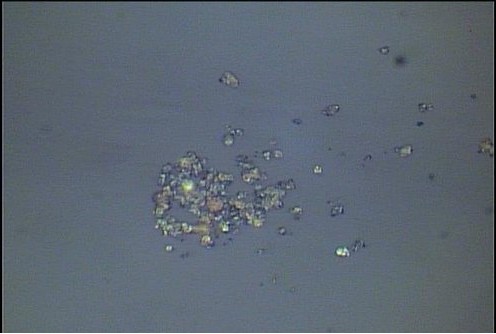 �F�P�۵���Ⱦ