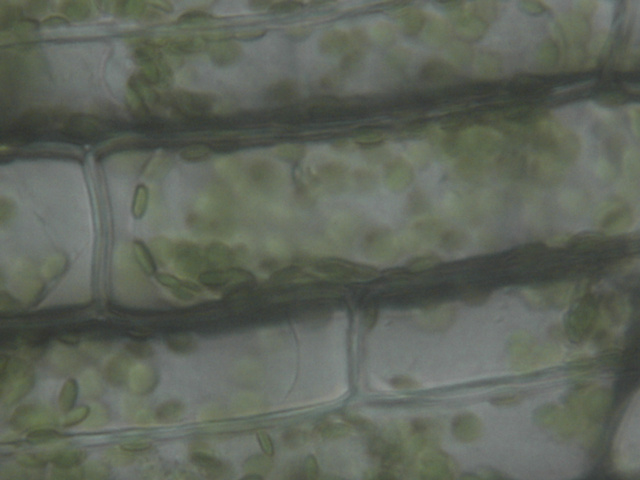 ��(x��)���|(zh��)