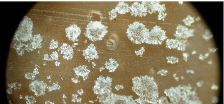 �@΢�R�Ŵ�200����Ƭ