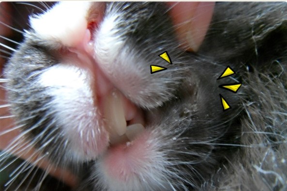 �����L�_��