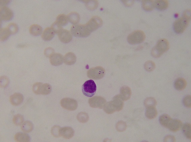 �@΢�R���Ĕz��Ȯ���x(ch��ng)