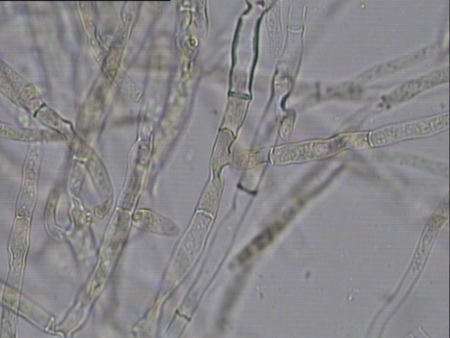 �@΢�R��e���