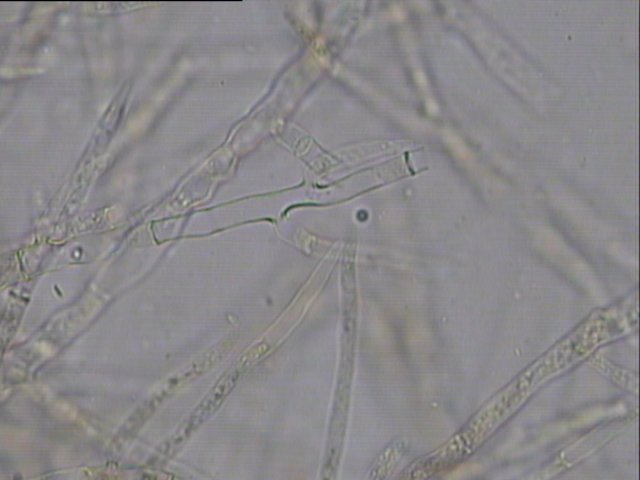 �@΢�R�µ����