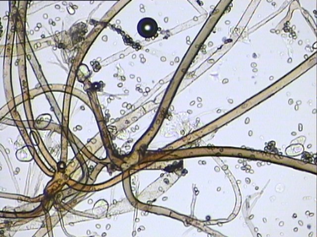 �@΢�R������