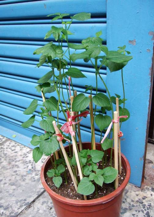 δ�⵽���g�Ľ����t��