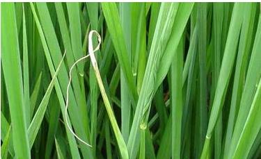 ���x(ch��ng)�@΢�R�R�z